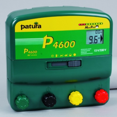 Poste combiné P4600 - PATURA