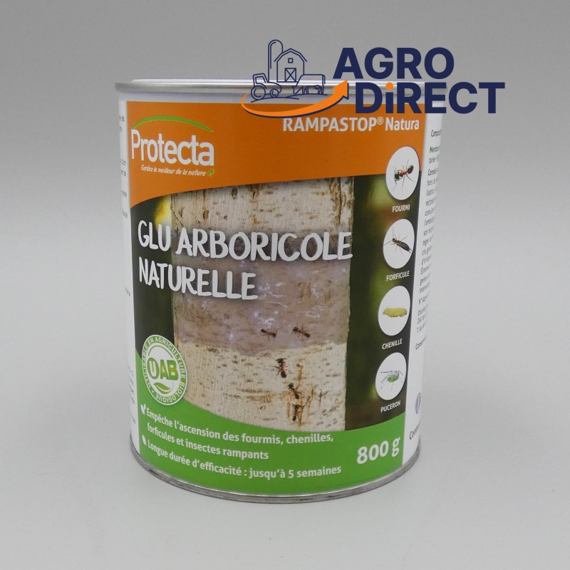 Glu arboricole 800G