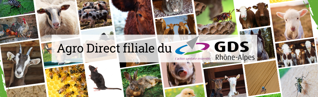 Harnais pour chat-Agro Direct